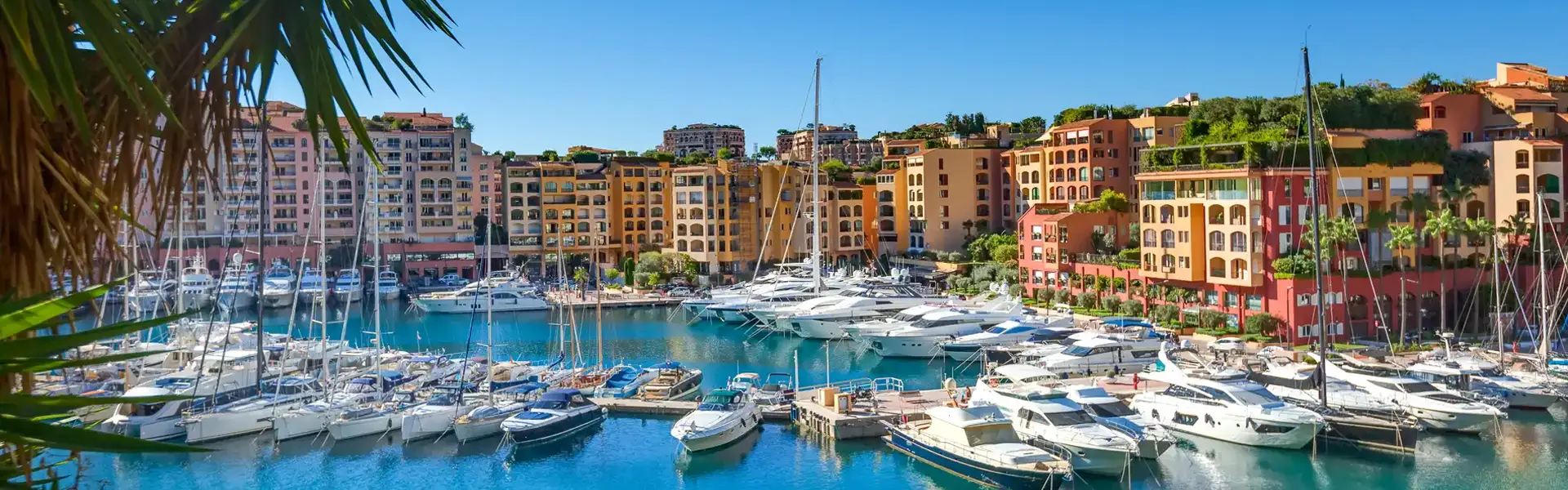 Monaco Grand Prix Special