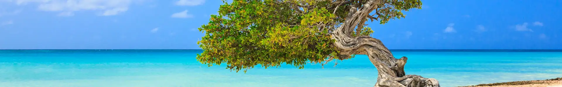 Aruba