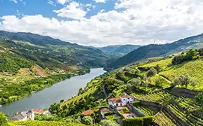 Images of Douro