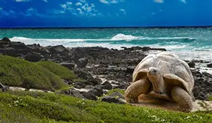 Images of Galapagos