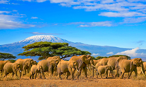 Images of Kenya